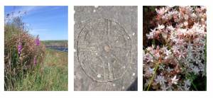 Fishinkblog-1027-Pembrokeshire 1