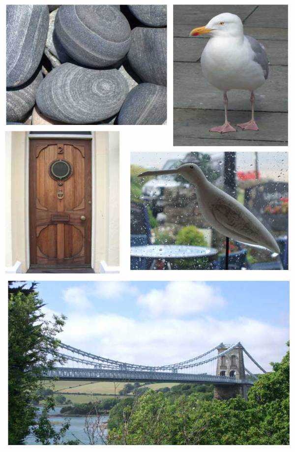 Fishinkblog-1045-Wales-ass