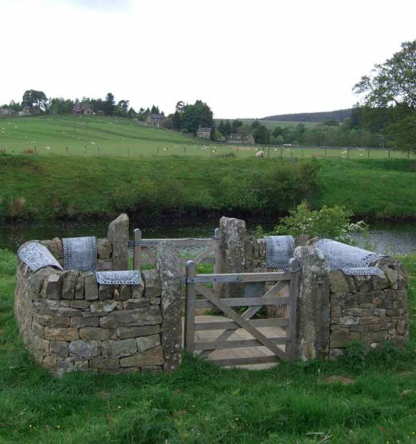 Fishinkblog-1083-Sheep-Pen