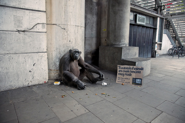 Fishinkblog-1118-George Logan 2