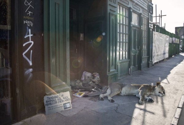 Fishinkblog-1119-George Logan 3