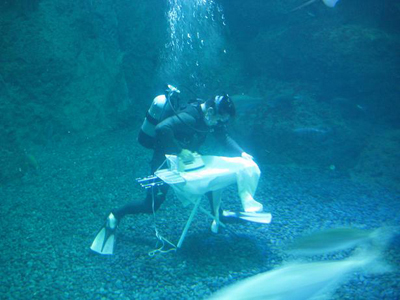 Fishinkblog 1507 Extreme Ironing 2