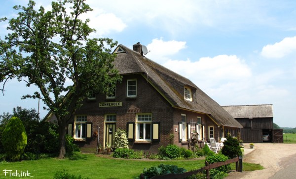 Fishinkblog 3087 Holland 5