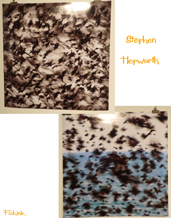 Fishinkblog 3477 Nottingham Trent 4