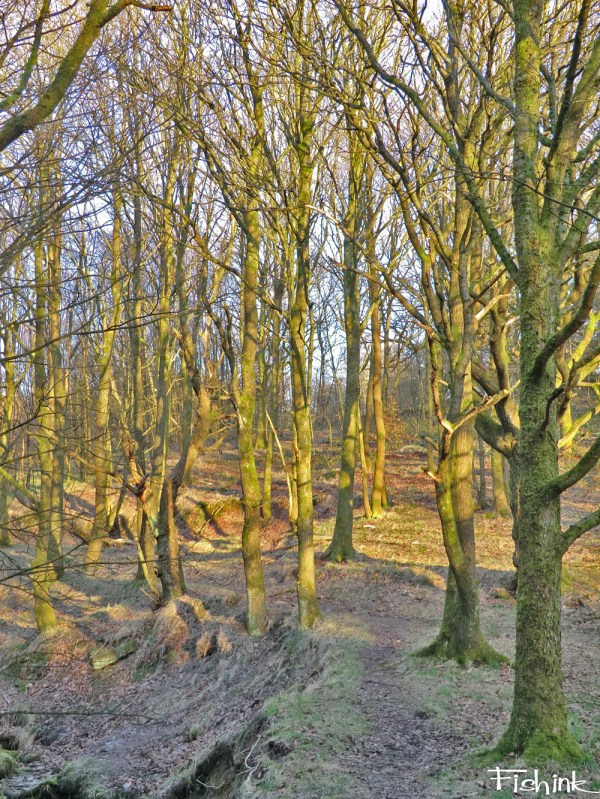 Fishinkblog 3989 Fishink Walk 1