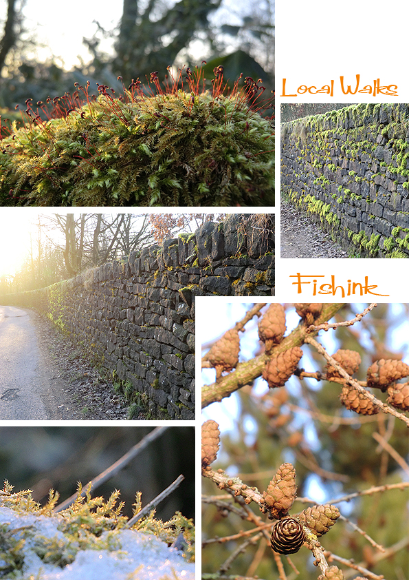 Fishinkblog 3992 Fishink Walk 4