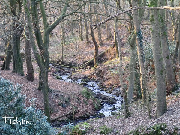 Fishinkblog 3993 Fishink Walk 5