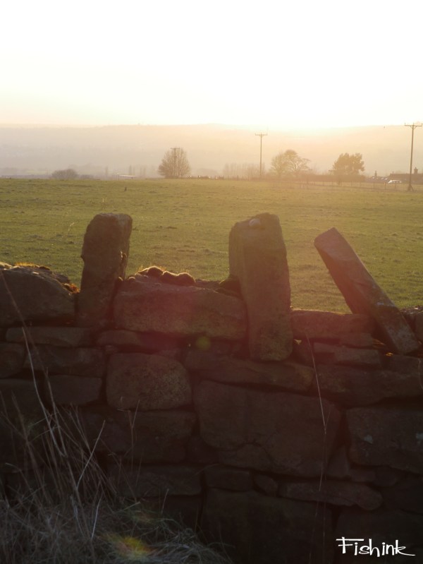 Fishinkblog 3994 Fishink Walk 6