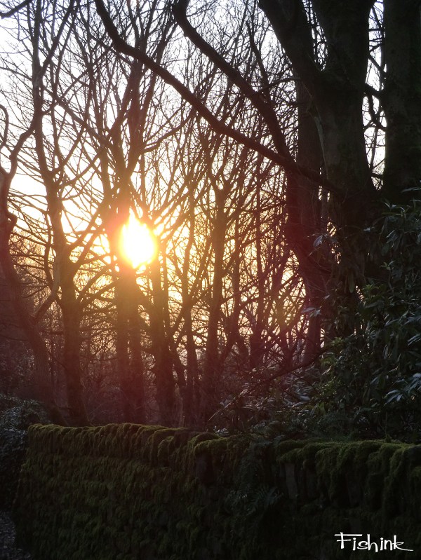 Fishinkblog 3995 Fishink Walk 7