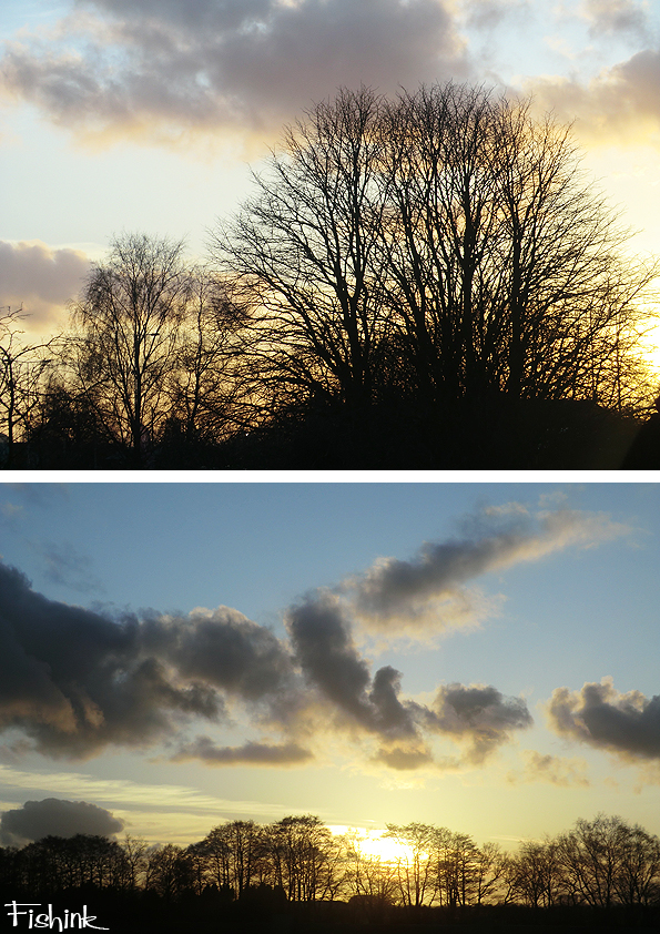 Fishinkblog 4087 Dorset 29