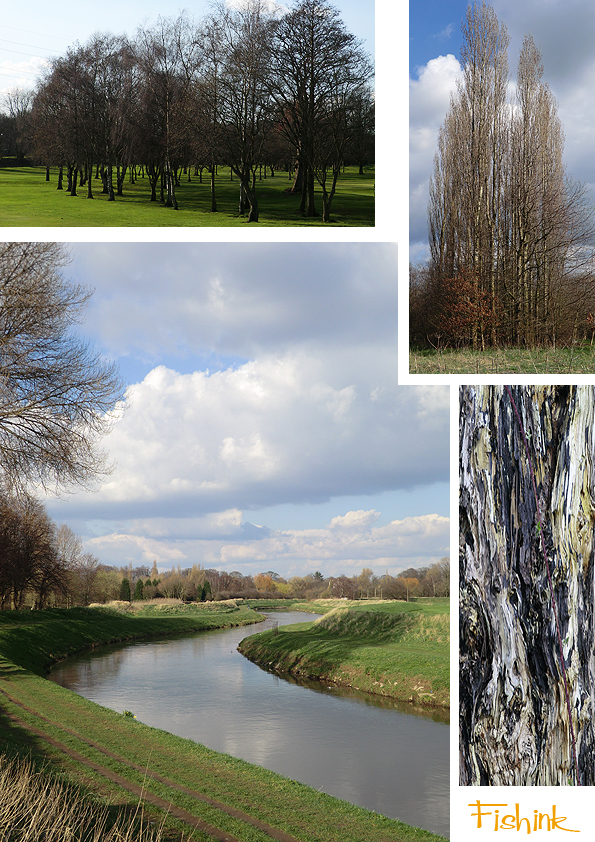 Fishinkblog 4157 Town and Country 2