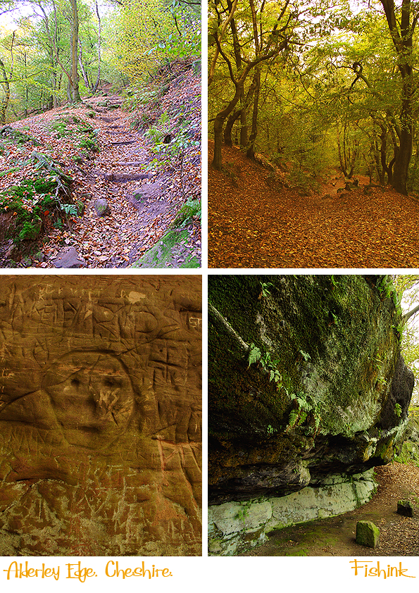 Fishinkblog 4167 The Weirdstone 3