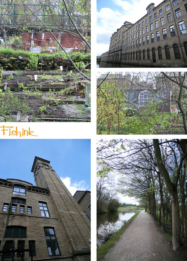 Fishinkblog 4284 Salts Mill 15