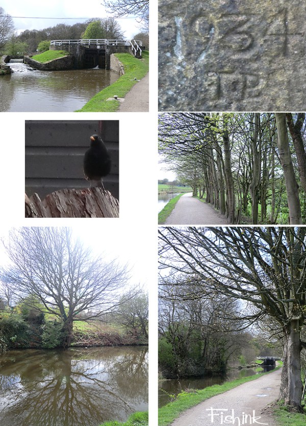 Fishinkblog 4285 Salts Mill 16