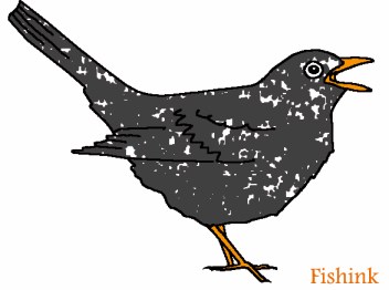Fishinkblog 4768 Blackbird 5