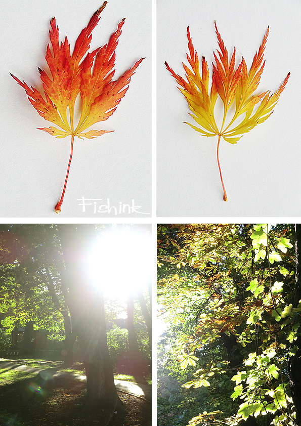 Fishinkblog 5005 Autumn Leaves 2