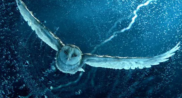 Fishinkblog 5194 Legend of the Guardians 4