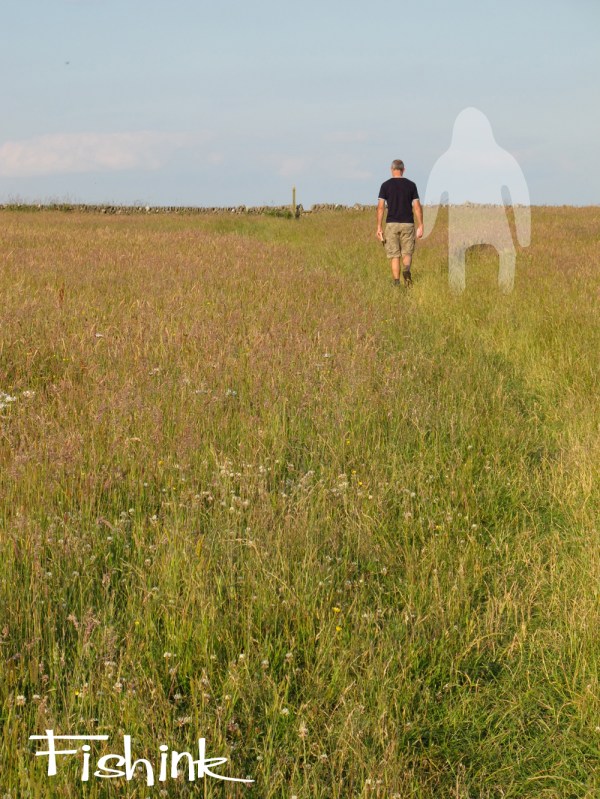 Fishinkblog 5221 Monsters 2