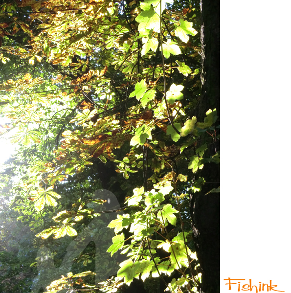 Fishinkblog 5223 Monsters 3