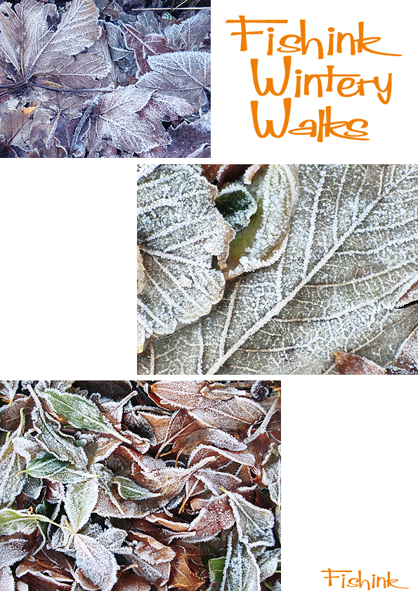 Fishinkblog 5266 Fishink Walks 2