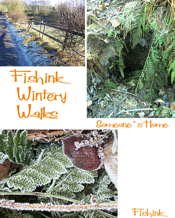 Fishinkblog 5267 Fishink Walks 3