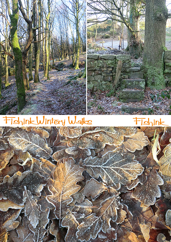 Fishinkblog 5268 Fishink Walks 4