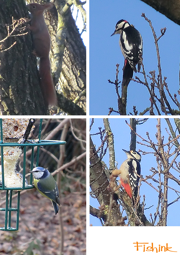 Fishinkblog 5314 Munich 14