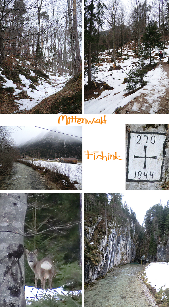 Fishinkblog 5364 Munich 63