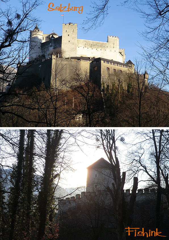 Fishinkblog 5411 Salzburg 12