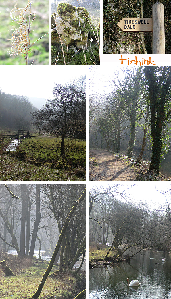 Fishinkblog 5640 Fishink Walk Tideswell 6