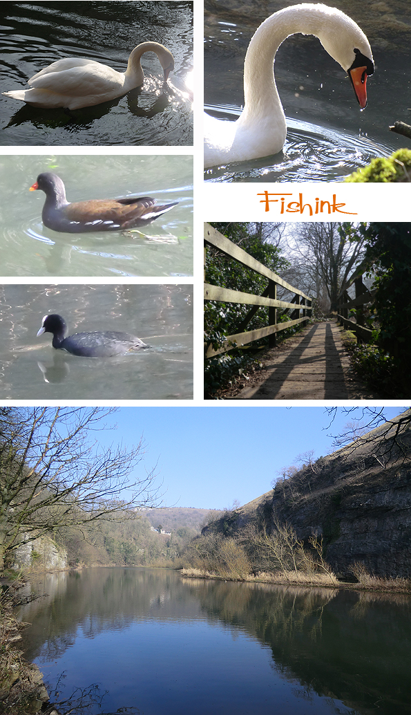 Fishinkblog 5641 Fishink Walk Tideswell 7