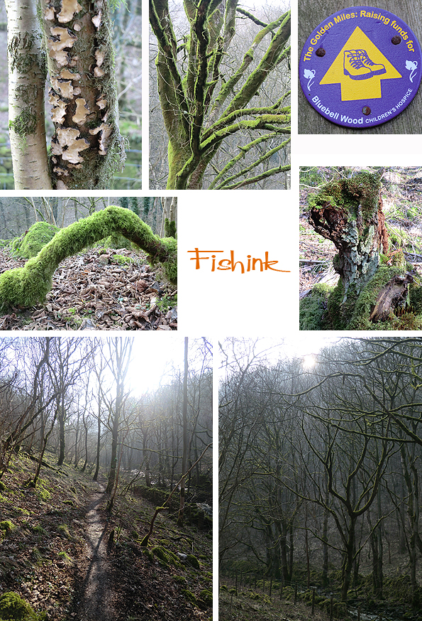 Fishinkblog 5643 Fishink Walk Tideswell 9
