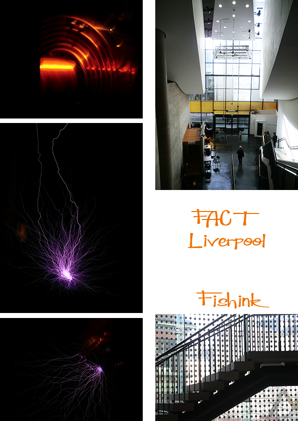 Fishinkblog 5729 Liverpool 13