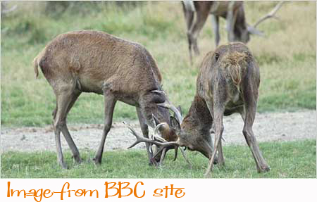 Fishinkblog 5783 Fishink Walks 2a