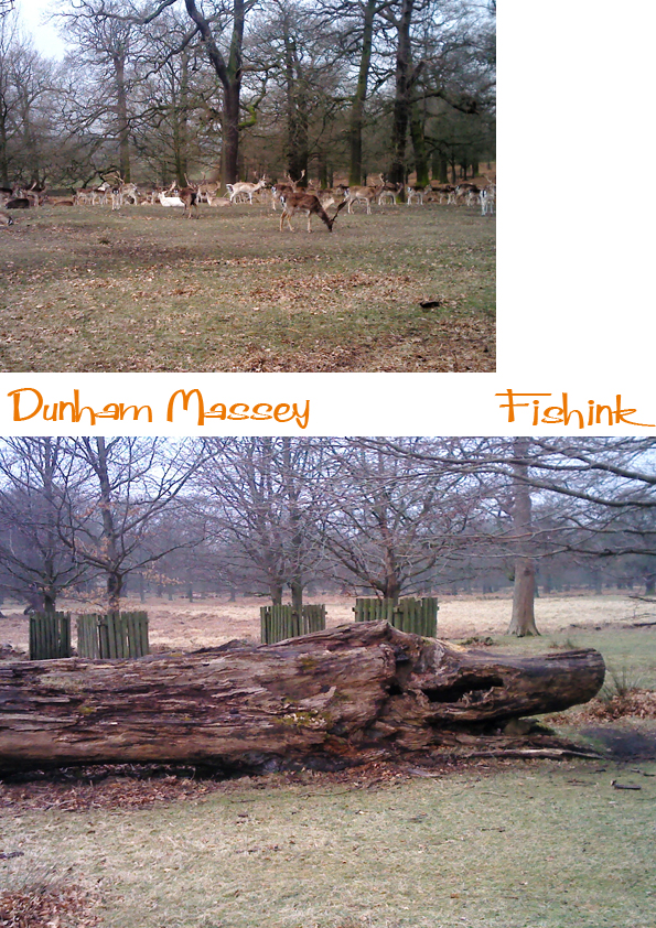 Fishinkblog 5785 Fishink Walks 4