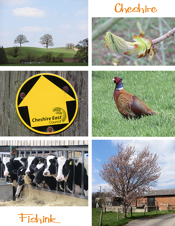 Fishinkblog 5787 Fishink Walks 2