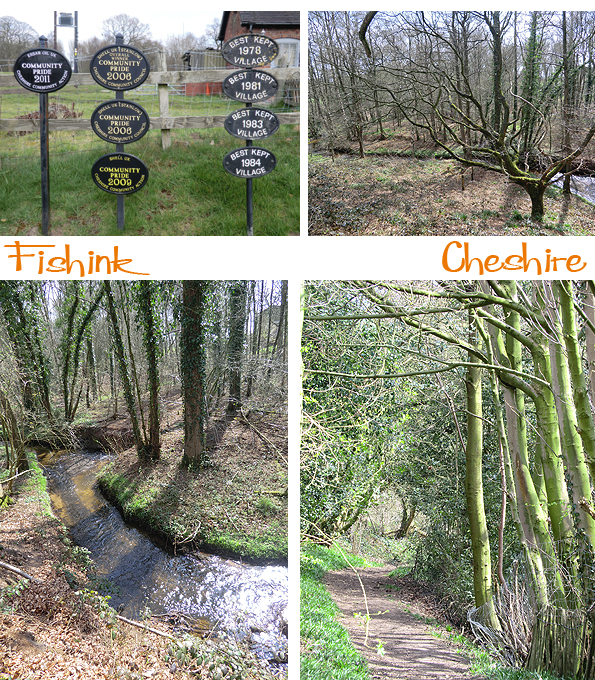 Fishinkblog 5788 Fishink Walks 3