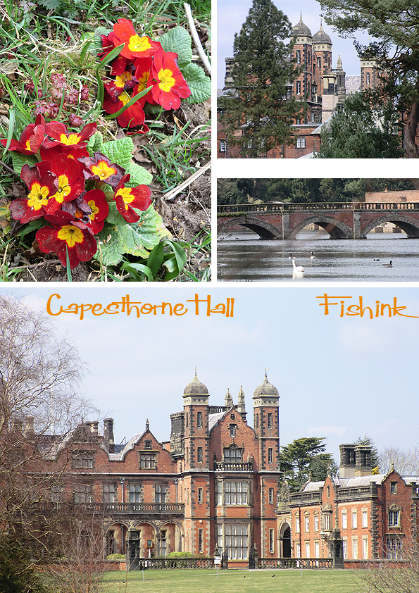 Fishinkblog 5795 Fishink Walks 10