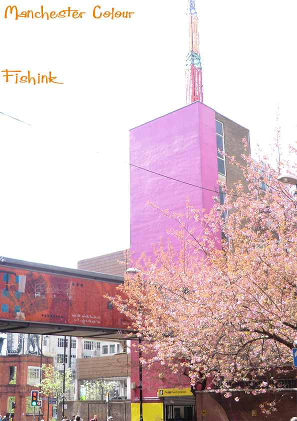 Fishinkblog 5846 Manchester 7
