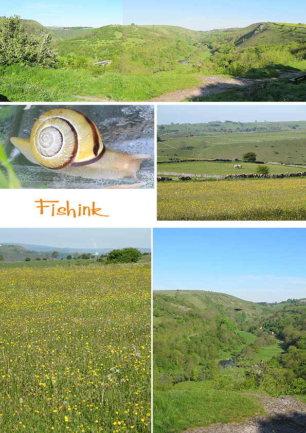 Fishinkblog 5963 Stained Glass 1