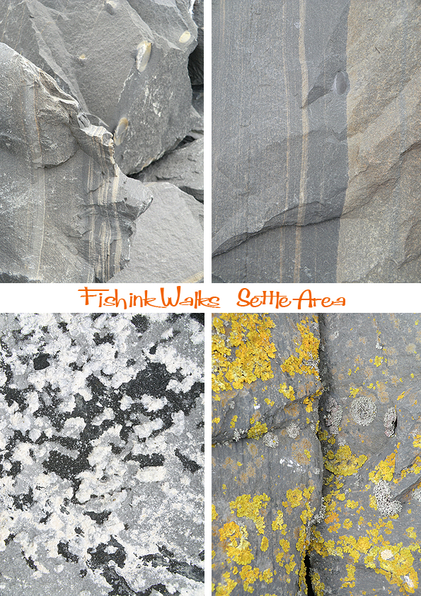 Fishinkblog 5980 Settle Trip 3