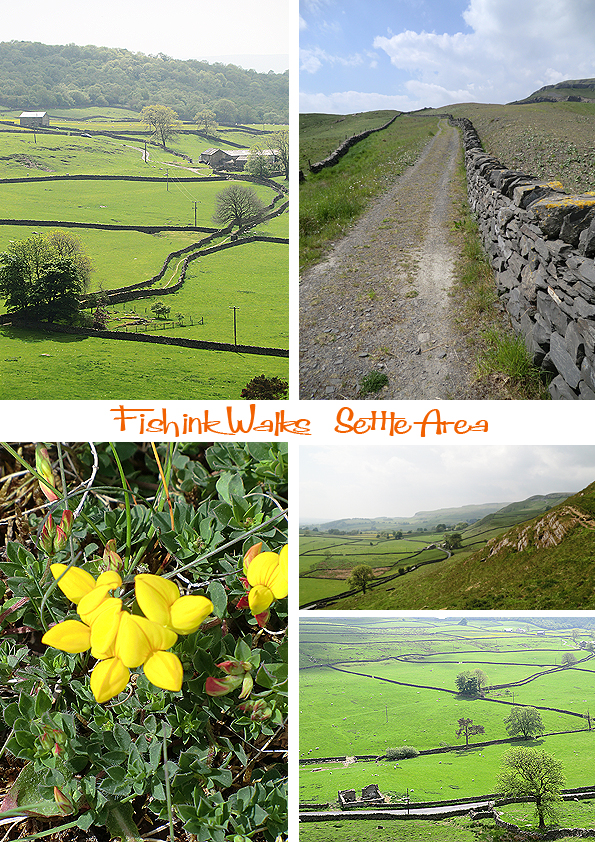 Fishinkblog 5981 Settle Trip 4