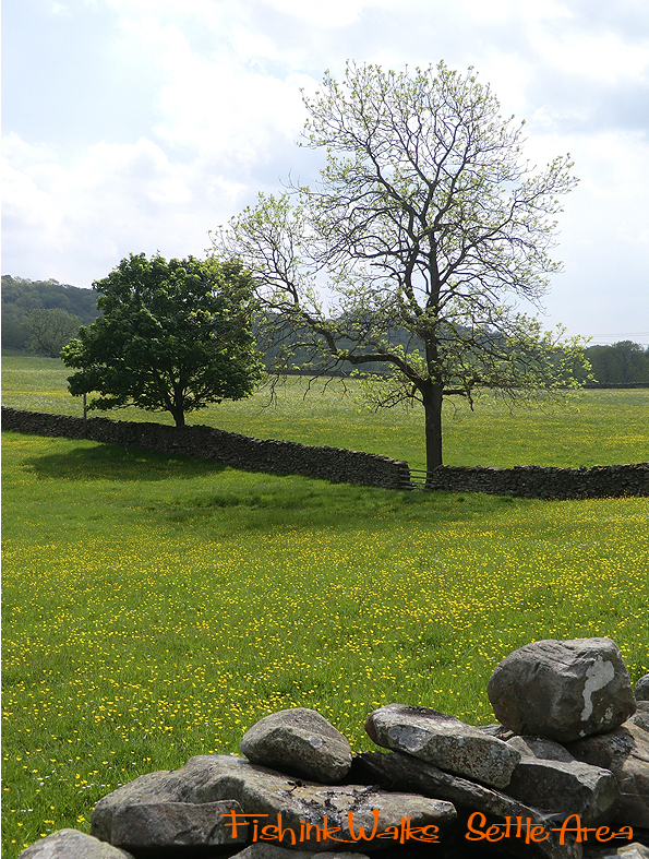 Fishinkblog 5983 Settle Trip 6