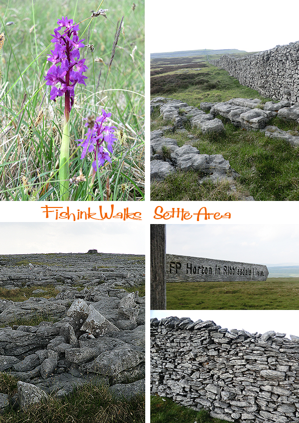 Fishinkblog 5987 Settle Trip10