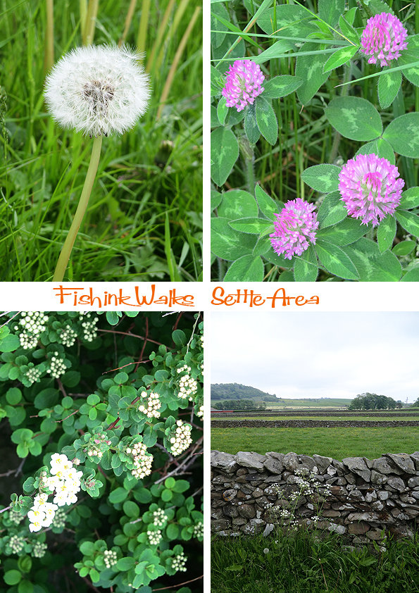 Fishinkblog 5992 Settle Trip 15