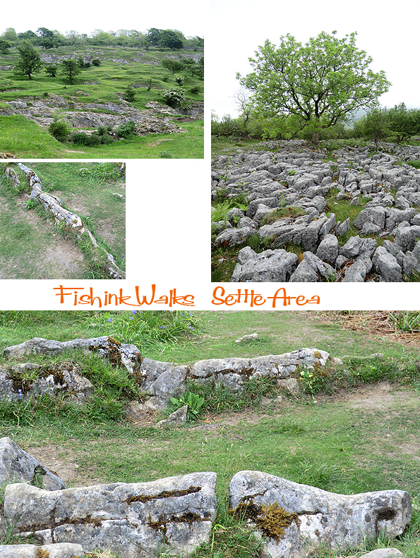 Fishinkblog 5995 Settle Trip 18