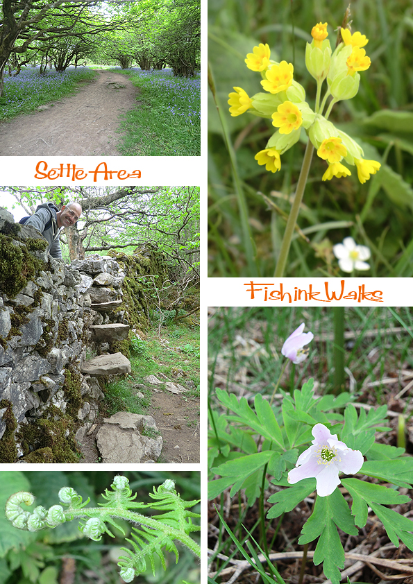 Fishinkblog 5996 Settle Trip 19