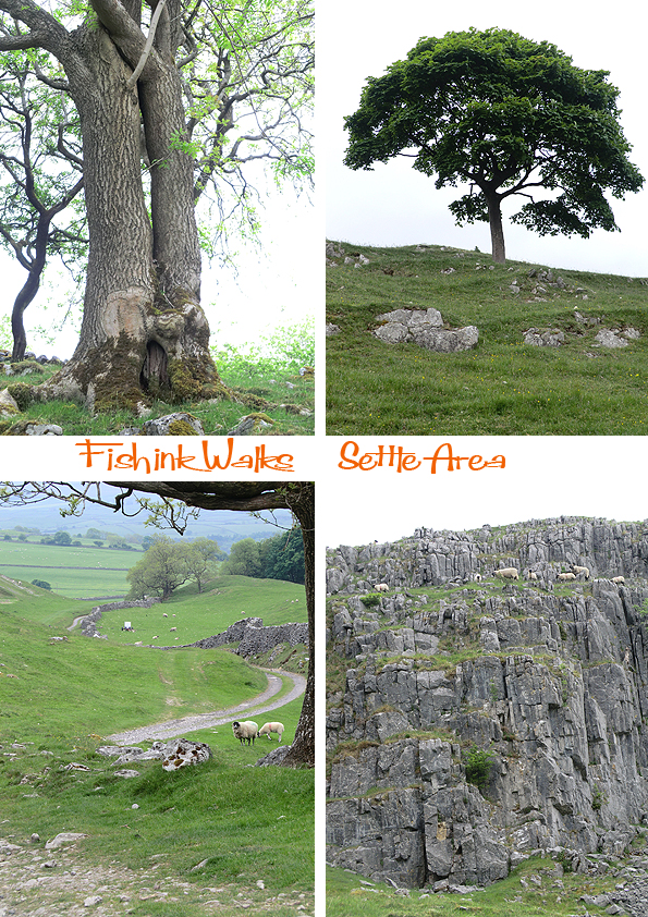 Fishinkblog 5998 Settle Trip 21