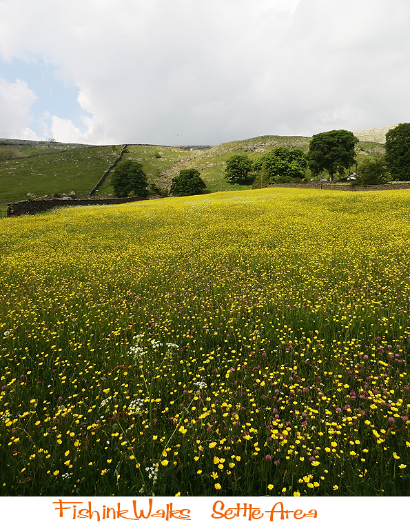 Fishinkblog 6001 Settle Trip 26