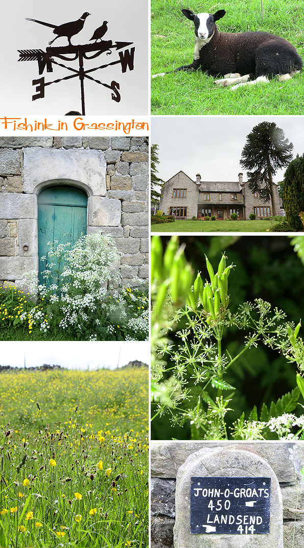 Fishinkblog 6029 Grassington 4